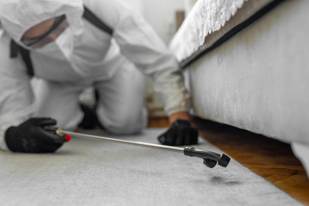 Professional Bed Bug Control technician working in Kapaau, HI
