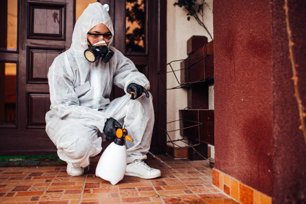 Reliable Bed Bug Control contractor in Kapaau, HI by Nex Pest Control
