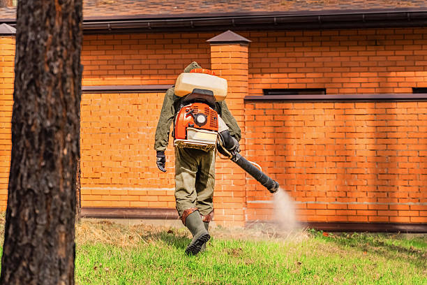 Trusted Fumigation Services service in Kapaau, HI - Nex Pest Control